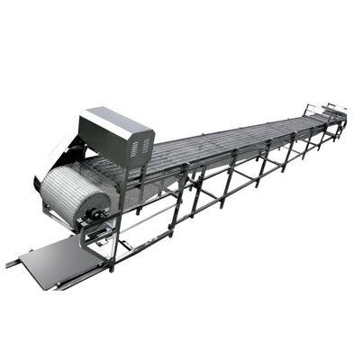 Línea de procesamiento de leche de soja con nuestra máquina de cortar rebanadas