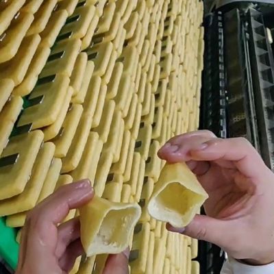 Máquina para hacer tofu comercial y línea de producción de bolsas de suerte para restaurantes