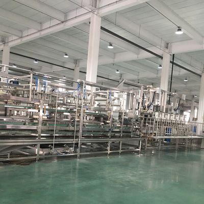 Restaurante Fritura de Tofu No busque más que nuestra máquina automática de bolas de tofu frito