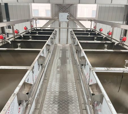 Buscando línea de producción de leche de soja automática y personalizable